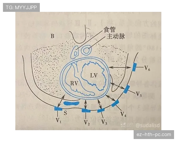一分钟看懂八秒违例如何判定，让你不再为发球超时而困惑